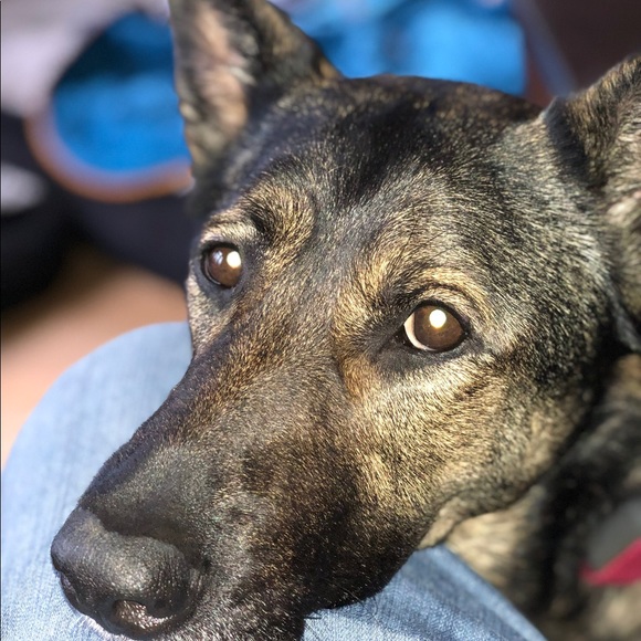 Meet your Posher, Nancy - Picture 1 of 1